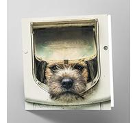 Maturi Border Terrier Dog Photographic Blank Birthday Greetings Card, 15.5 x 15.5 cm
