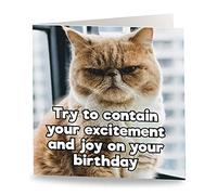 Maturi 'Contain Your Excitement ' Funny Humorous Cat Birthday Greetings Card - Blank Inside, 15.5 x 15.5 cm