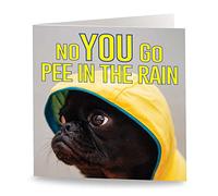 Maturi Dog Funny Humorous Birthday Greetings Card - Blank Inside, 15.5 x 15.5 cm