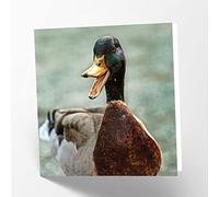 Maturi Duck Photographic Blank Birthday Greetings Card, 15.5 x 15.5 cm