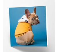 Maturi French Bulldog Dog Photographic Blank Birthday Greetings Card, 15.5 x 15.5 cm