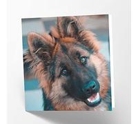 Maturi German Shepherd Dog Photographic Blank Birthday Greetings Card, 15.5 x 15.5 cm