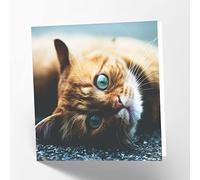 Maturi Ginger Cat Photographic Blank Birthday Greetings Card, 15.5 x 15.5 cm