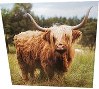 Maturi Highland Cow Photographic Blank Birthday Greetings Card, 15.5 x 15.5 cm
