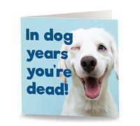 Maturi 'In Dog Years...' Funny Humorous Birthday Greetings Card - Blank Inside, 15.5 x 15.5 cm