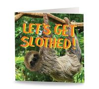 Maturi 'Let's Get Slothed' Funny Humorous Birthday Greetings Card - Blank Inside, 15.5 x 15.5 cm