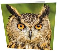 Maturi Owl Photographic Blank Birthday Greetings Card, 15.5 x 15.5 cm