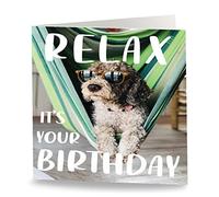 Maturi 'Relax It's Your Birthday' Funny Humorous Dog Greetings Card - Blank Inside, 15.5 x 15.5 cm