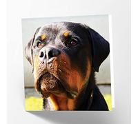 Maturi Rottweiler Dog Photographic Blank Birthday Greetings Card, 15.5 x 15.5 cm
