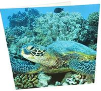 Maturi Sea Turtle Photographic Blank Birthday Greetings Card, 15.5 x 15.5 cm