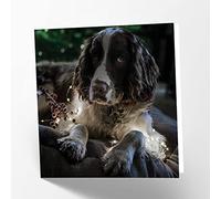 Maturi Springer Spaniel Dog Photographic Blank Birthday Greetings Card, 15.5 x 15.5 cm