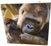 Maturi Thinking Gorilla Photographic Blank Birthday Greetings Card, 15.5 x 15.5 cm