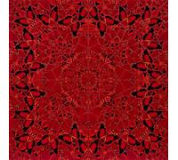 Matvsd Kohecs DAMIEN HIRST Poster Abstract Canvas Prints Vintage DAMIEN HIRST Wall Art Red butterfly Posters and Prints for Home Wall Decor 40x40cm Frameless