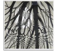 Matvsd Kohecs Rippled Surface by M.C. Escher Canvas Wall Art M.C. Escher Poster M.C. Escher Prints M.C. Escher Painting for Home Decor Picture 50x50cm No Frame