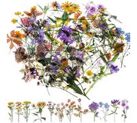 Matwsec 120 Pcs Flower Stickers for Scrapbooking, Vintage Clear Scrapbook Stickers, Nature Floral Sticker, Colorful Wildflower Sticker for Journaling, Junk Journaling Supplies for Adults Kids