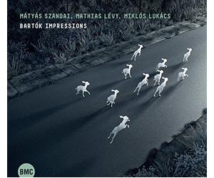 Matyas Szandai / Mathias Levy / Miklos Lukacs - Bartók Impressions