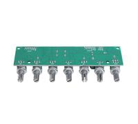 Matybobe 5.1 Preamplifier Board with Independent Volume Controls and Bass