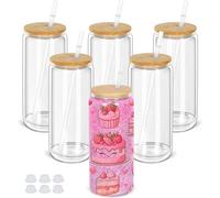 Maucircol 20 Oz Snow Globe Tumbler, 6 Pack Pre-Drilled Sublimation Glass Cup For Glitter Snow Globe Diy, Double Wall Sublimation Glass Tumbler