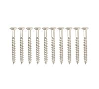 Mavaol Guitar Neck Mounting Screws 10 Pcs Iron Rustproof Resistance Sturdy Neckplate Assembly Screw for Guitar Neck Plate Installation Series Guitars Silver
