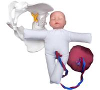 Mavdecll Childbirth Demonstration Pelvis Model, Mini Movable Female Pelvis, with Infant and Placenta, Advanced Midwifery Training Model, Education Teaching Tools, for Study Display