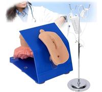 Mavdecll Male/Female Urethral Model, Catheterization Enema Manikin Model, Catheter Model with Stable Base Support, Realistic Urethral Simulation, for Urinary Catheterization Practice