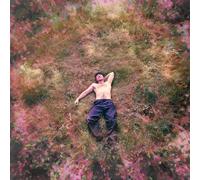 Maverick Sabre - Burn The Right Things Down [VINYL]