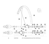 Mavic Aksium Allroad Disc 700 2018 Rear Right Spokes 12 Units Black 278 mm