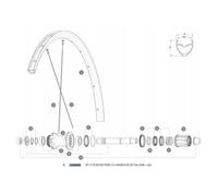 Mavic Aksium Elite Ust Disc 650b Rear Right Spokes 12 Units Black 273 mm