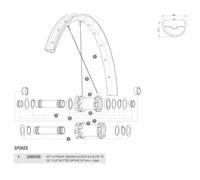 Mavic Deemax Elite/e-xa Elite 29 2019 Front Spokes 14 Units Black 301 mm