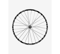 Mavic Deemax Enduro Sl 29´´ Int Boost Mtb Front Wheel Silver 15 x 110 mm