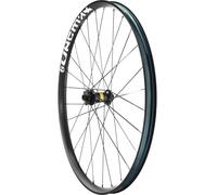 Mavic Deemax Dh 29´´ Int Mtb Front Wheel Silver 20 x 110 mm