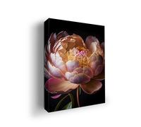 MAVIS PRINT Peony Floral Wall Art - 12x16 inches | HD Printed & Wooden Framed | Modern Wall Decor for Bedroom, Living Room, Office, Kids Room | Made in USA