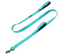 Max and Neo Double Handle Traffic Dog Leash - 6 FT, Teal, Donates a Leash to Dog Rescue for Every Purchase