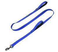 Max and Neo™ Double Handle Traffic Dog Leash Reflective - We Donate a Leash to a Dog Rescue for Every Leash Sold (BLUE)