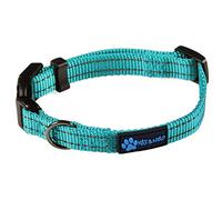 Max and Neo NEO Nylon Buckle Reflective Dog Collar - We Donate a Collar to a Dog Rescue for Every Collar Sold (X-Small, Teal)
