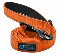 Max and Neo Reflective Nylon Dog Leash - We Donate a Leash for Every One Sold (Orange, 6ft)