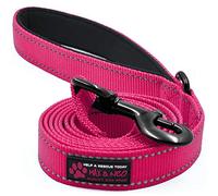 Max and Neo Reflective Nylon Dog Leash - We Donate a Leash to a Dog Rescue for Every Leash Sold (Pink, 6x1)