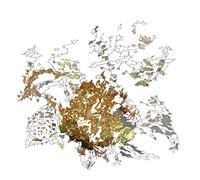 Max Eilbacher - Red Anxiety Tracers [VINYL]