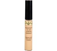 Max Factor Facefinity All Day Flawless Concealer - 040