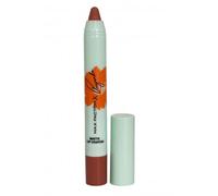 Max Factor X Priyanka Chopra Jonas Lipstick 001 Mauve Love Matte Finish Moisturising Long Lasting