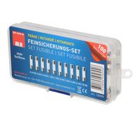 Max Hauri Micro Fuse Set 5x20mm Time Delay 100 pieces
