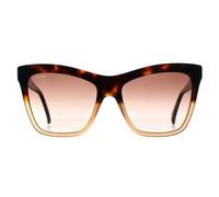 Max Mara Sunglasses MM0008 Logo2 56F Havana Fade Brown Gradient