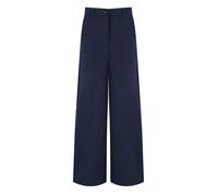MAX MARA WEEKEND ALFEO BLUE PANTS 40