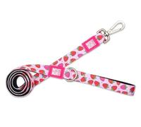 Max & Molly Classic Dog Leash 4ft Neoprene Soft Padded Bright Colorfast Design Machine Washable for Small Medium Large Dogs (Small)