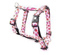 Max & Molly Dog Harness in H-Shape, Ultra Comfortable Neoprene Harness for Medium Dogs, Strawberry Dream/M, Padded, Safe & Ultralight - Comfort for Your Faithful Companion
