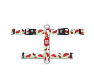 Max & Molly H Comfort Fit Dog Harness - Soft Neoprene Padding, Easy Step-In Design, Durable Metal Parts, Dual D-Rings for Enhanced Control - Perfect for Secure, Comfortable Walks