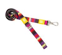 Max & Molly Latte And Colorful | Unique Design |Comfortable | Secure | Cushioned Neoprene | Sporty And Elegant | Short Leashes, XS