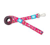 Max & Molly Magic Lead XS