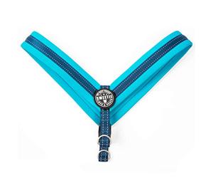 Max & Molly Matrix Sky Blue Q-Fit 4894512017641 Dog Harness Neoprene Padded with Reflective Stitching XS 67 g
