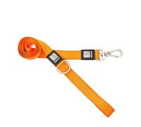 Max & Molly Pure Orange And Colorful | Unique Design |Comfortable | Secure | Cushioned Neoprene | Sporty And Elegant | Short Leashes, L